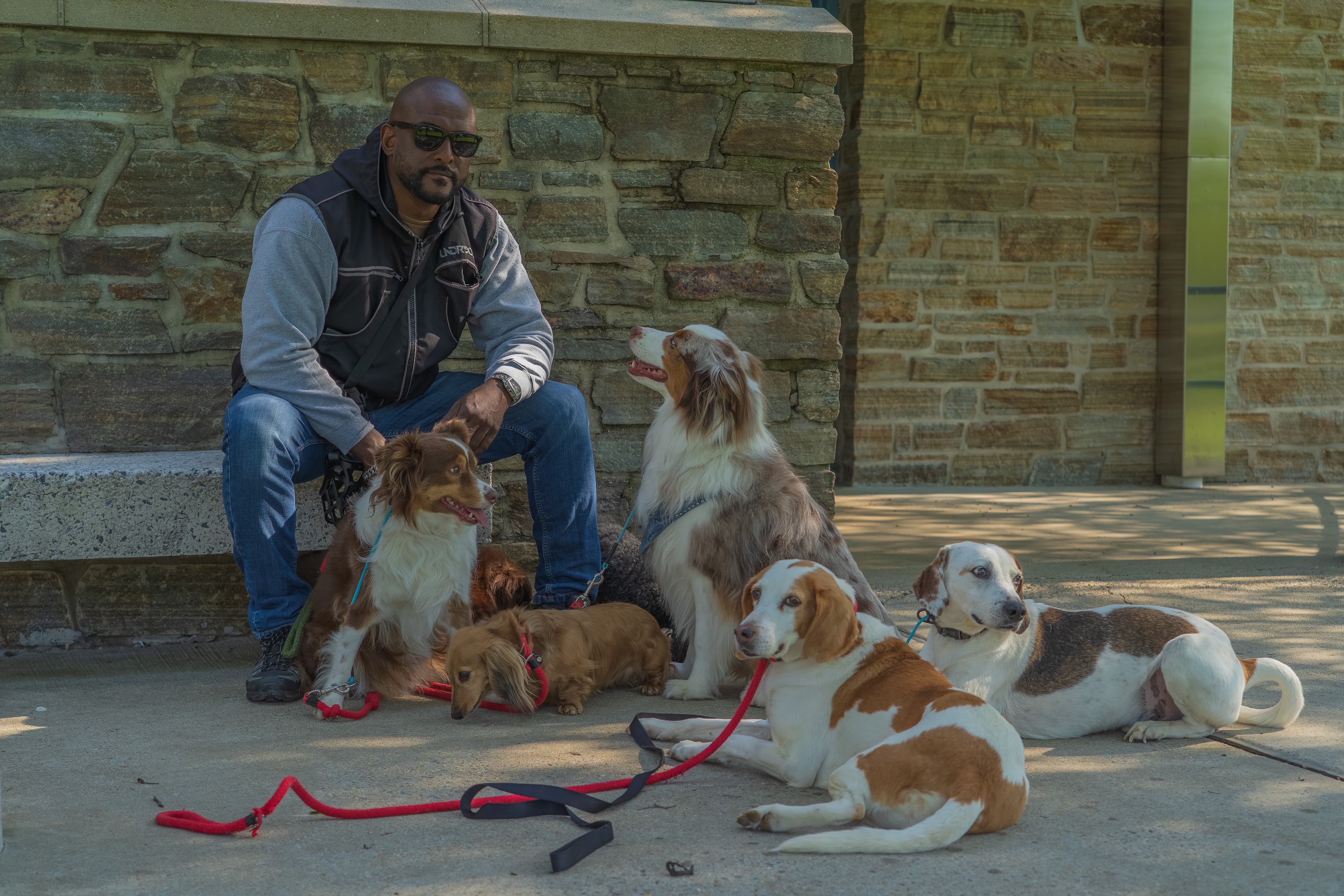 A handler working with a dog in a structured setting